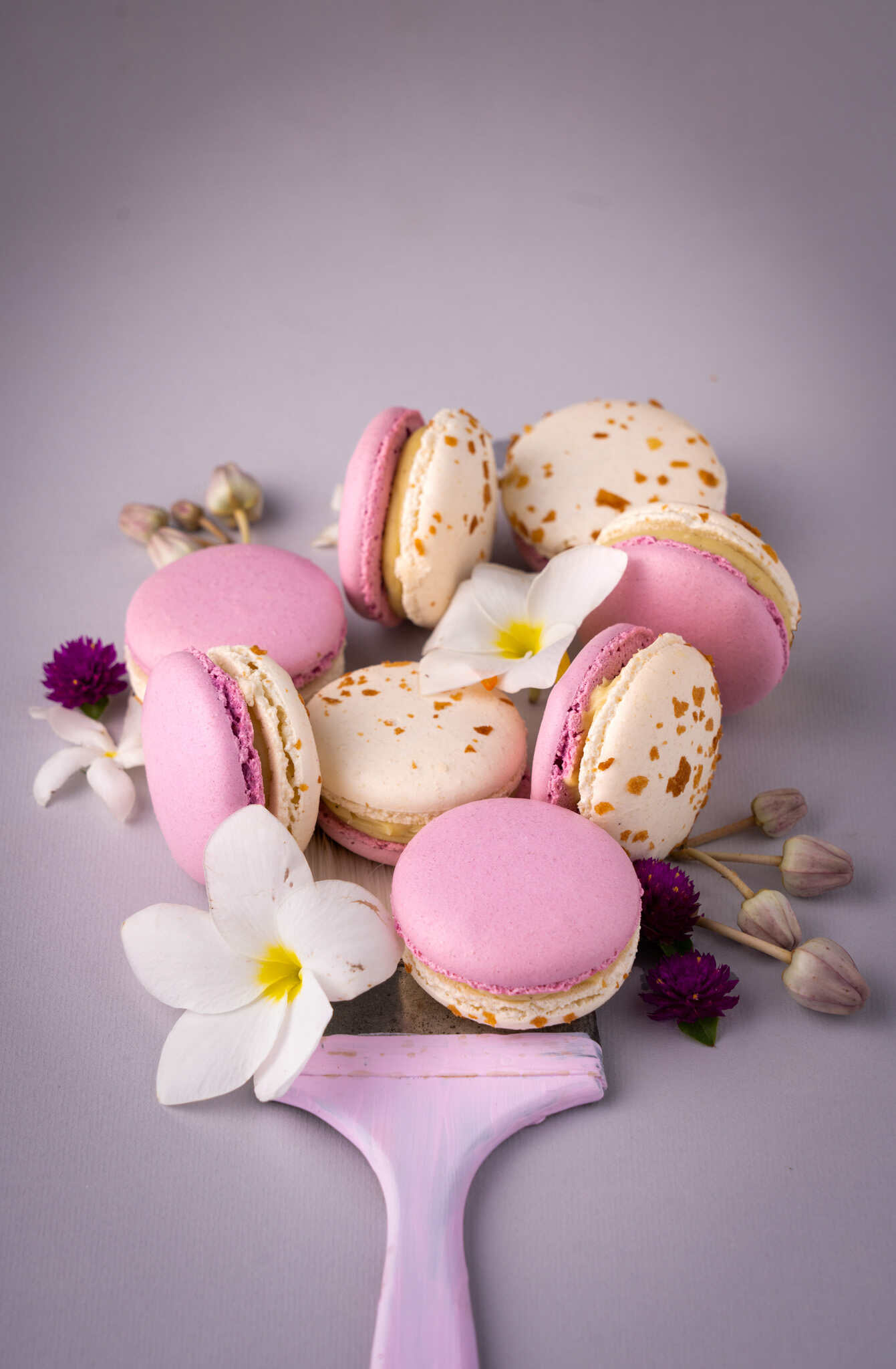 french macarons